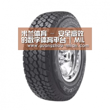 米兰体育产品名称七